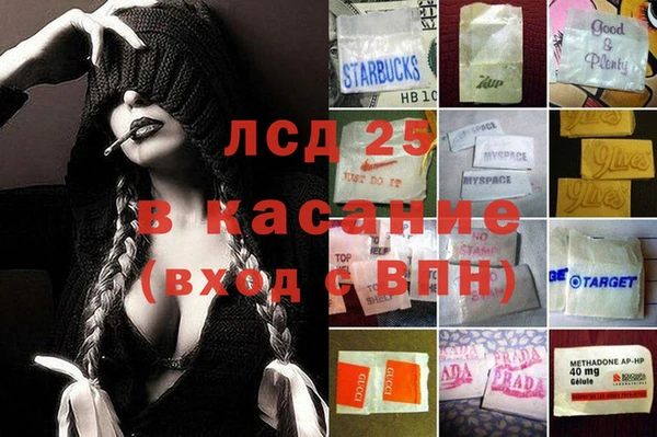ПСИЛОЦИБИНОВЫЕ ГРИБЫ Ельня