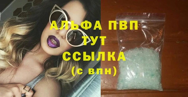 гидра Алексин