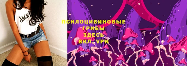 скорость Елизово